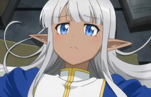 Site pirata de anime fecha após remover propagandas